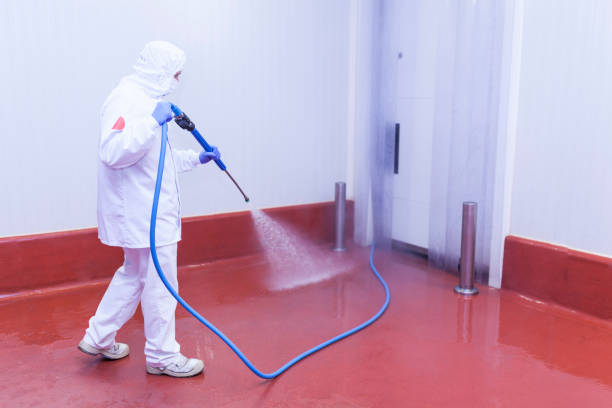 Paint Preparation in Springfield, OR